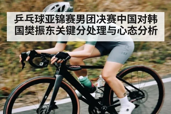 乒乓球亚锦赛男团决赛中国对韩国樊振东关键分处理与心态分析